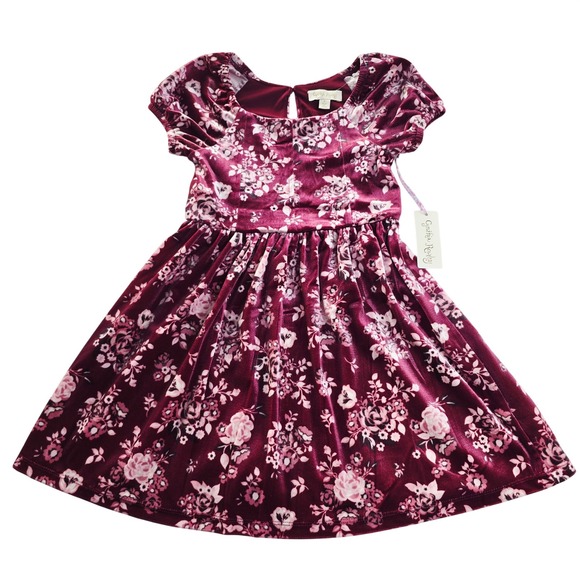 Cynthia Rowley Other - Cynthia‎ Rowley NWT Girls Burgundy Floral Velvet Dress Short Sleeve Size 6